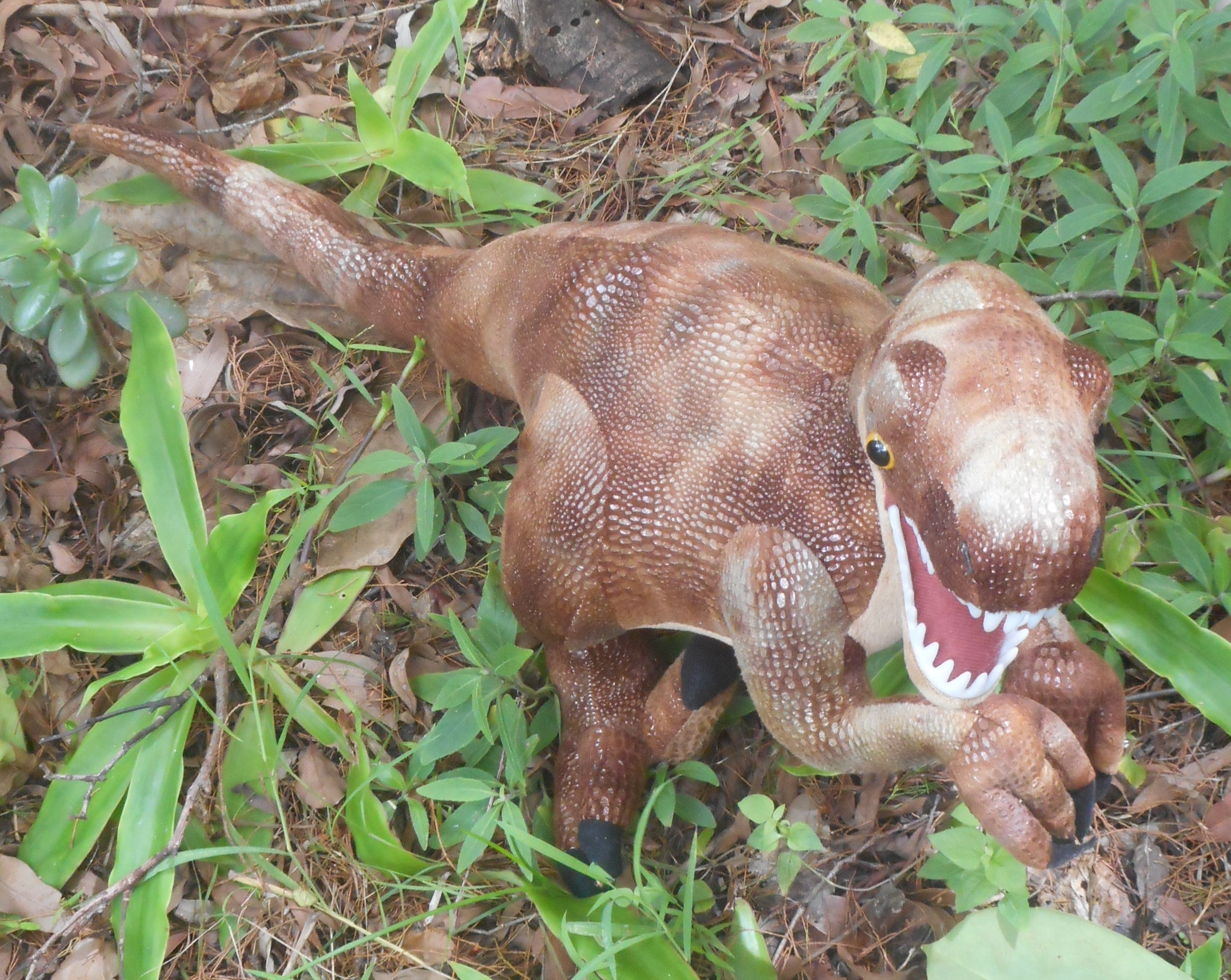 dinosaurs
